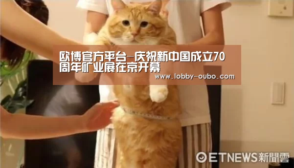 欧博官方平台-庆祝新中国成立70周年矿业展在京开幕(图3) 欧博