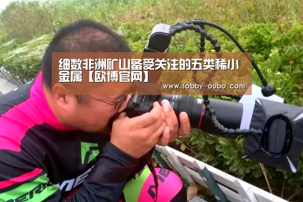 细数非洲矿山备受关注的五类稀小金属【欧博官网】(图1) 欧博登录入口