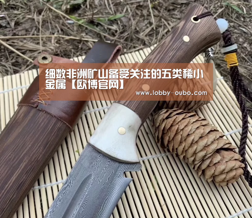 细数非洲矿山备受关注的五类稀小金属【欧博官网】(图2) 欧博官方平台