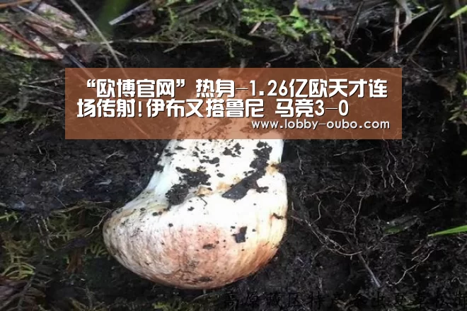 “欧博官网”热身-1.26亿欧天才连场传射!伊布又搭鲁尼 马竞3-0(图4) 欧博官方平台