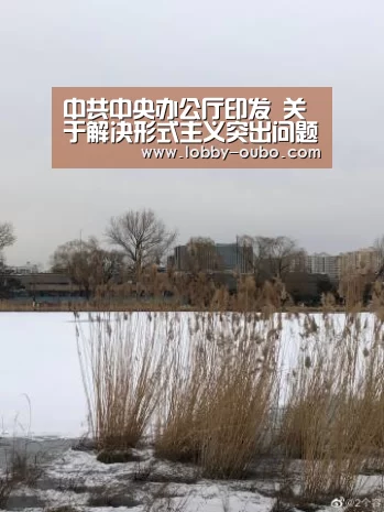中共中央办公厅印发 关于解决形式主义突出问题为基层减负的通知:欧博登录入口(图1) 欧博登录入口