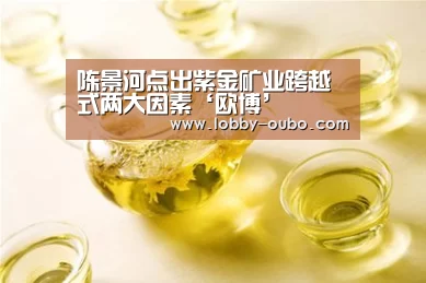 陈景河点出紫金矿业跨越式两大因素‘欧博’(图2) 欧博官方平台