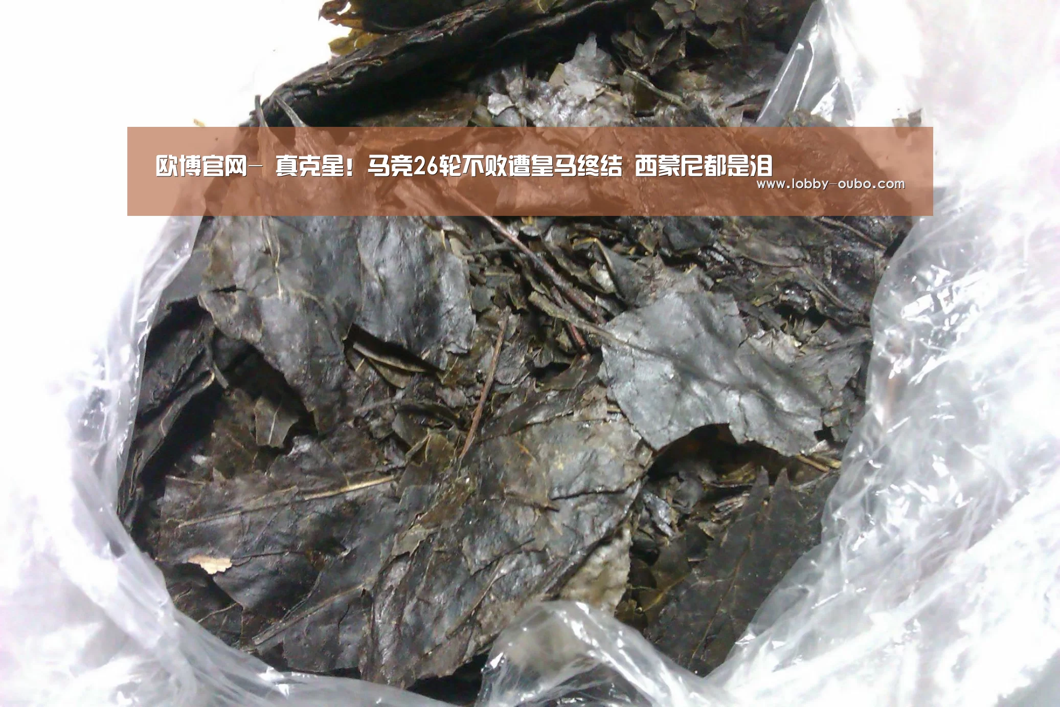 欧博官网-
真克星!马竞26轮不败遭皇马终结 西蒙尼都是泪(图5) 欧博登录入口